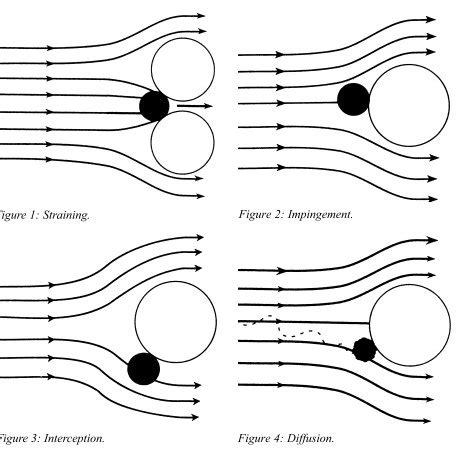 Filtration method | Download Scientific Diagram