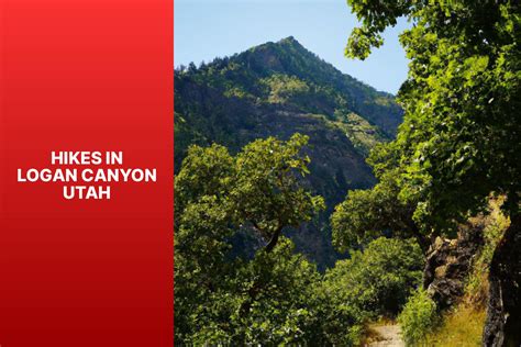 Hikes in Logan Canyon Utah - jasonexplorer.com