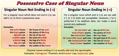 Formation of Possessive Case in English with Examples » Selftution