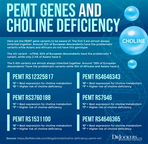 Choline: Signs of Deficiency, Benefits, and Food Sources - DrJockers.com