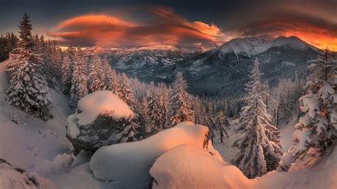 Forest Mountain Nature Snow Sunset Winter HD Nature Wallpapers | HD ...