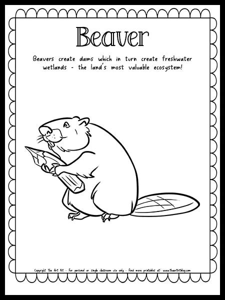 Beaver Coloring Page with Fun Fact {FREE Printable Download!} - The Art Kit