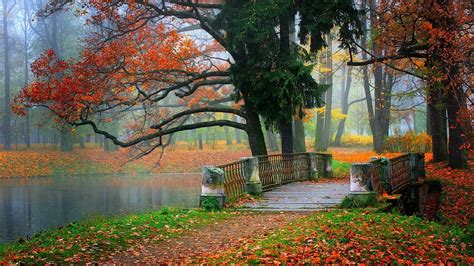 🔥 Free Download Autumn Hd Landscape Wallpaper Beauty Tree Bridge Tablet ...