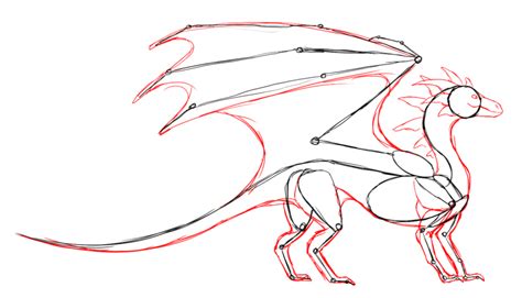 Reference Dragon Anatomy Drawings