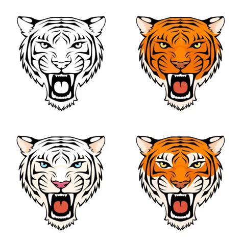 Roaring tiger clip art Royalty Free Stock SVG Vector and Clip Art