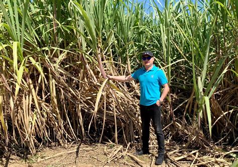 Bonsucro in Australia: takeaways from sugarcane stakeholders - Bonsucro