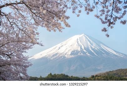 Mount Fuji Lake Kawaguchiko Cherry Blossom Stock Photo 1329215297 ...