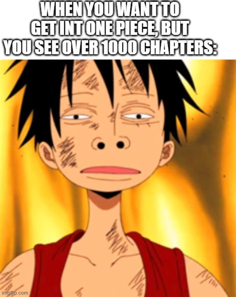 One Piece Luffy Meme One Piece Meme One Piece Luffy One Piece Meme ...