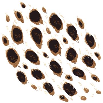 Cheetah Print PNG Transparent Images Free Download | Vector Files | Pngtree