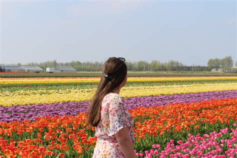 Everything You Need to Know Before Visiting the Tulip Fields in South ...