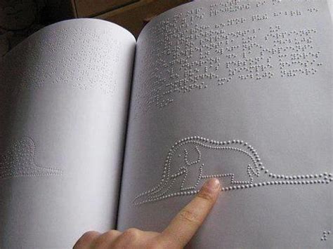 A children’s book in Braille : r/interestingasfuck