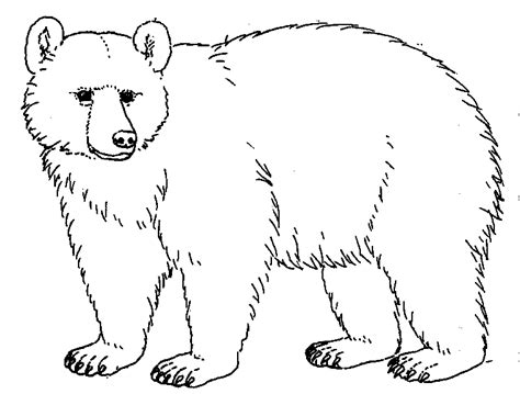 Bear Drawings | ... Worksheet Guide : Pictures Clip art Line Drawing ...