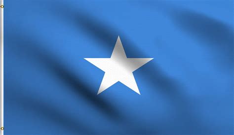 Amazon.com : DMSE Somalia Somali Flag 3X5Ft Foot 100% Polyester 100D ...