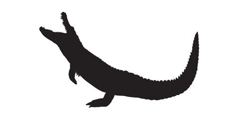 Crocodile Silhouette Vector Art, Icons, and Graphics for Free Download