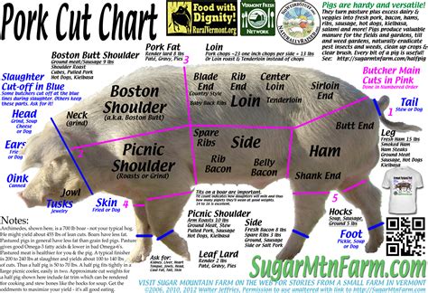 Pork Cuts Diagram Parts Of A Pig