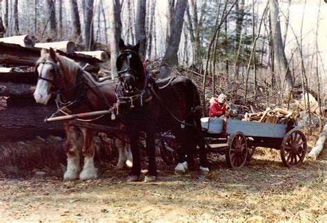 Dark Entry Forest, Inc. - Cornwall Historical Society