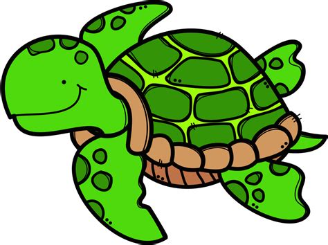 Sea Turtle Contents Png Clipart Transparent Png - Full Size Clipart ...