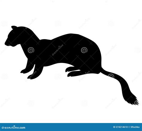 Weasel Vector Silhouette Black Stock Vector - Illustration of black ...