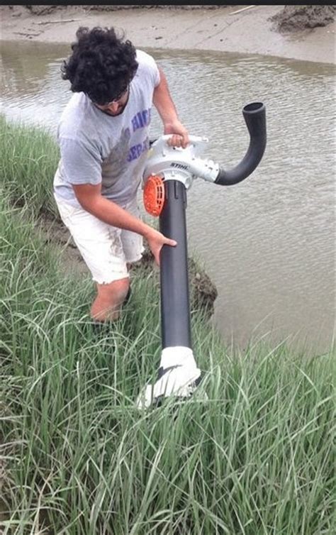 The Byrnes Lab » Salt Marsh Food Webs & Ecosystem Function