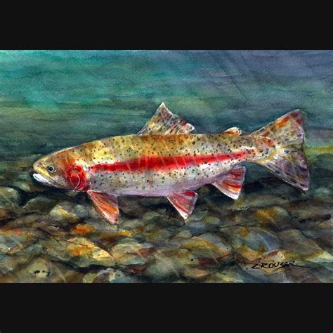 Items similar to RAINBOW TROUT Watercolor Print By Dean Crouser on Etsy