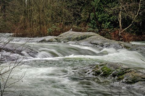 Alouette River Photograph by Michael Potts | Fine Art America