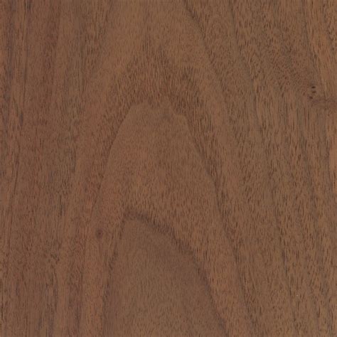 Black Walnut | The Wood Database (Hardwood)