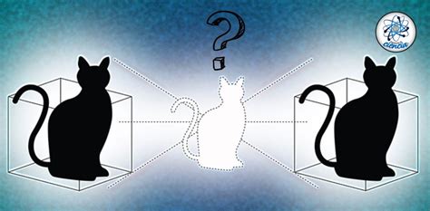 El gato de Schrödinger: explicación de la paradoja más famosa de la ...