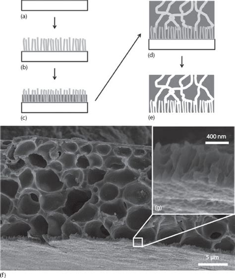 Nanofabrication Techniques and Their Applications in Drug Delivery ...