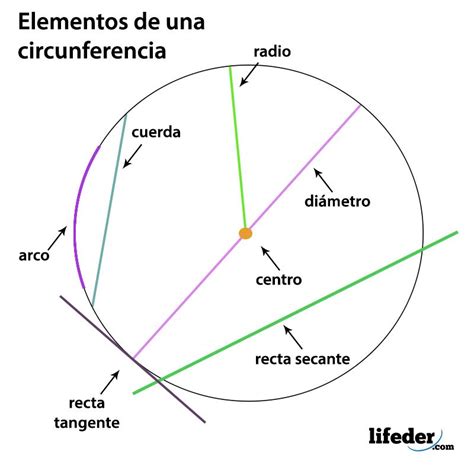 ¿Cuáles son los 7 Elementos de la Circunferencia? | Circulo y ...