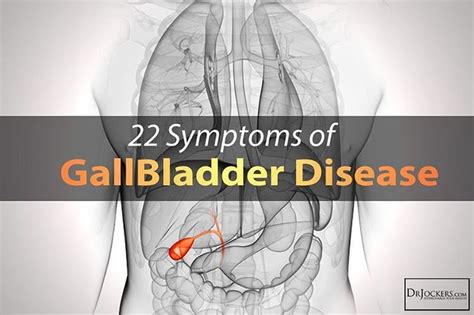 Dr Jockers | Gallbladder cancer, Gallbladder symptoms, Gallbladder