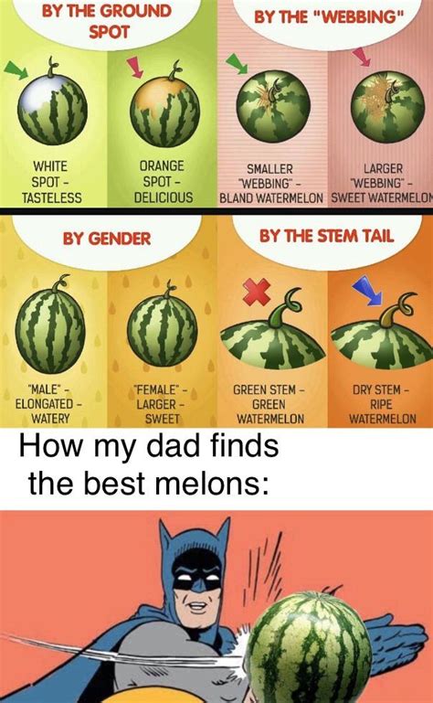 Watermelon Meme