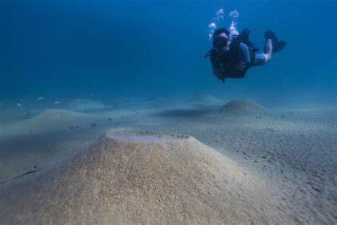 BLOG: Diving in Lake Malawi at Likoma Island | Malawi Tourism