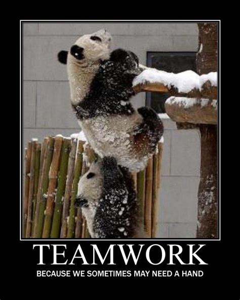 Funny Motivational Quotes About Teamwork. QuotesGram