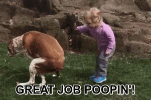 Poop GIFs - Find & Share on GIPHY