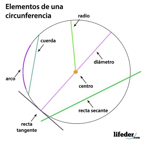 Que Es La Circunferencia | Images and Photos finder