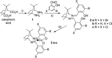 Synthesis of the ligands and metal complexes: i) NaN3, H2SO4, CHCl3, 65 ...