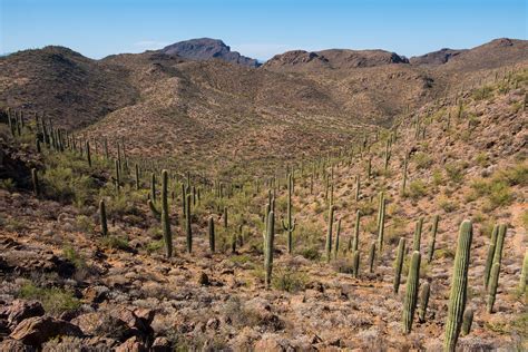 30 Photos of Arizona's Sonoran Desert | Gearminded