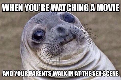 Awkward Moment Seal meme shares your embarrassment | WIRED UK