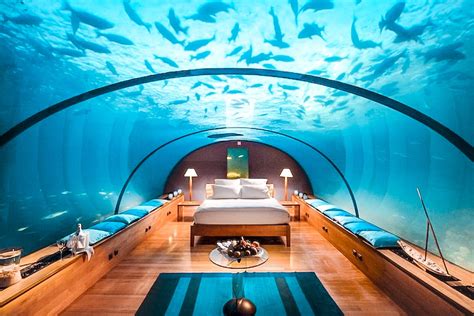 Unravel the Mystery of Tripping in Jules Undersea Lodge, Florida