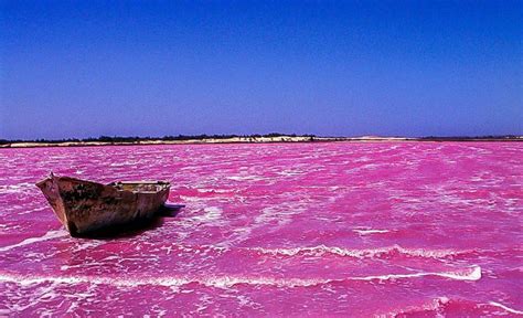 10 Most Shocking Lake Retba Images - Fontica Blog