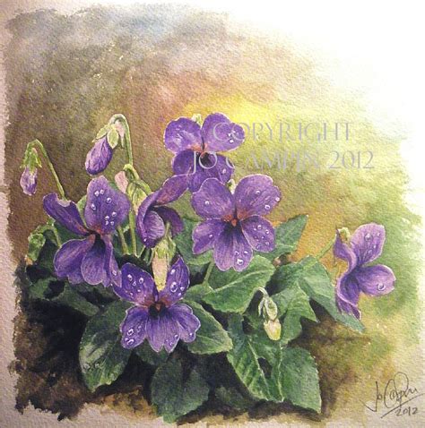 Sweet violets, 8" watercolour. Pony Breeds, Sweet Violets, Commission ...