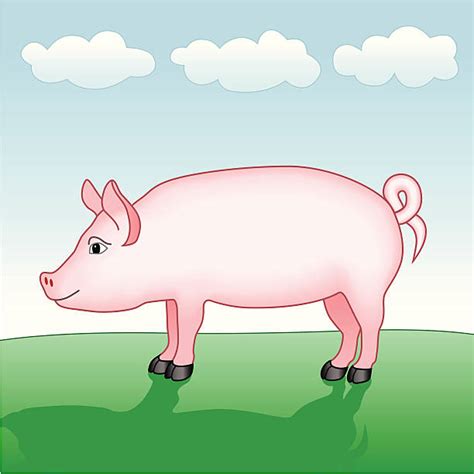 Pig Side View Illustrations, Royalty-Free Vector Graphics & Clip Art ...