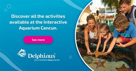 Swimming with dolphins in Cancun | Delphinus