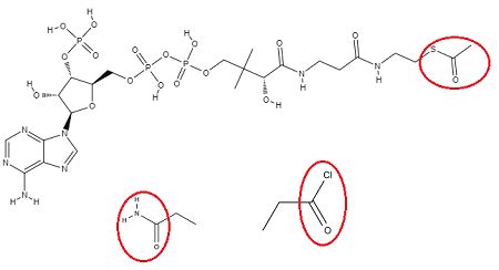 Acyl Group | Overview, Structure & Function | Study.com