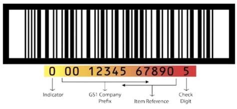 Types of Barcodes: Different Kinds Explained