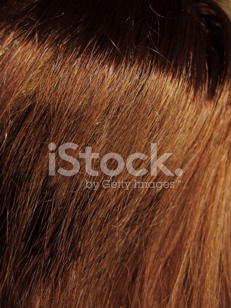 Dark Brown Hair Texture Background Stock Photo | Royalty-Free | FreeImages