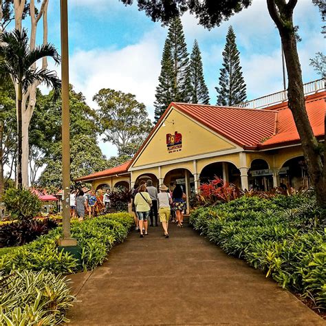 A Visit to Dole Plantation: Pineapple Paradise - Aloha Lovely