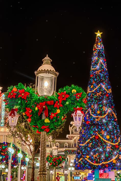 The Magic Kingdom Tree – Matt Ace Baugh | Disney world christmas ...