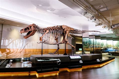 The Field Museum in Chicago | Find Natural History Exhibits