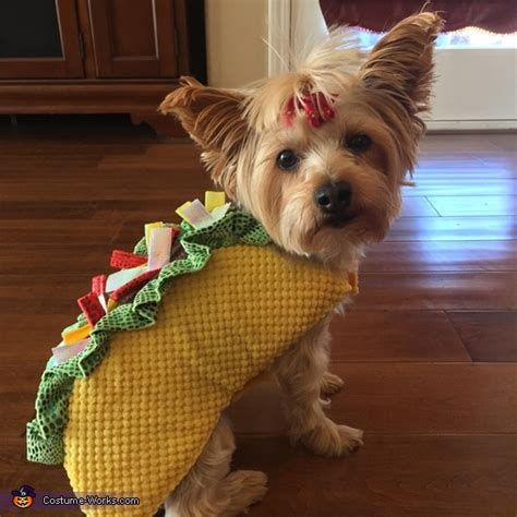 Taco Dog Halloween Costume | Halloween Party Costumes